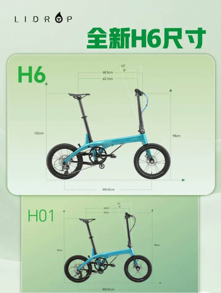 LIDROP一丁點 PRO/長軸版H6-霧絨鈦 16吋(305)6速碟煞碳纖折疊單車 - forrichlife