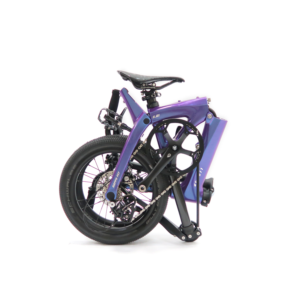 LIDROP一丁點 PRO/Happy Pet H.01-星光紫(客訂色) 16吋(305)5速碟煞碳纖折疊單車:圖片 2
