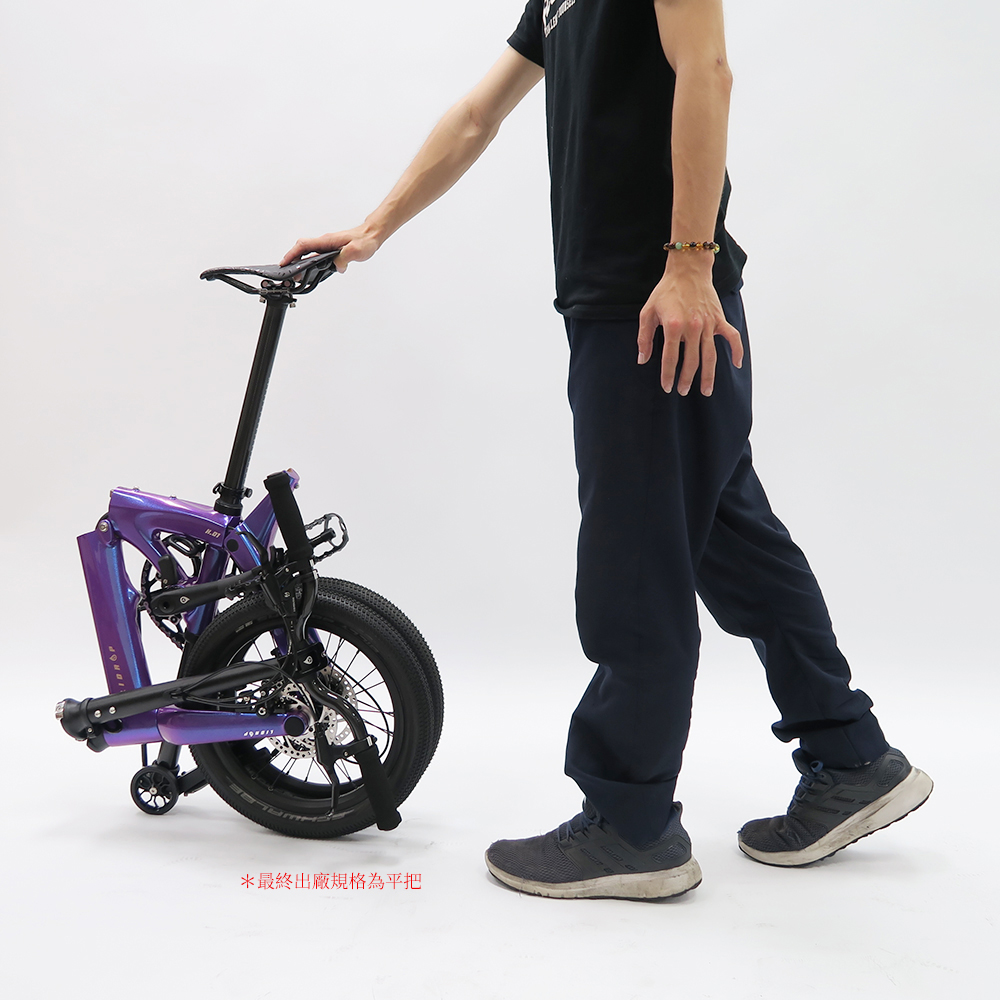 LIDROP一丁點 PRO/Happy Pet H.01-星光紫(客訂色) 16吋(305)5速碟煞碳纖折疊單車:圖片 3