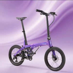 LIDROP一丁點 PRO/長軸版H6-星光紫（客訂色） 16吋(305)6速碟煞碳纖折疊單車
