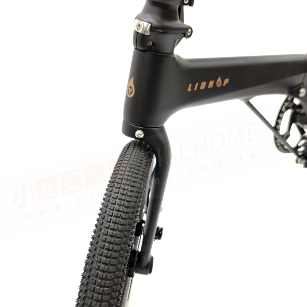 LIDROP一丁點 PRO/Happy Pet H.01-霧面黑 16吋(305)5速碟煞碳纖折疊單車:圖片 10